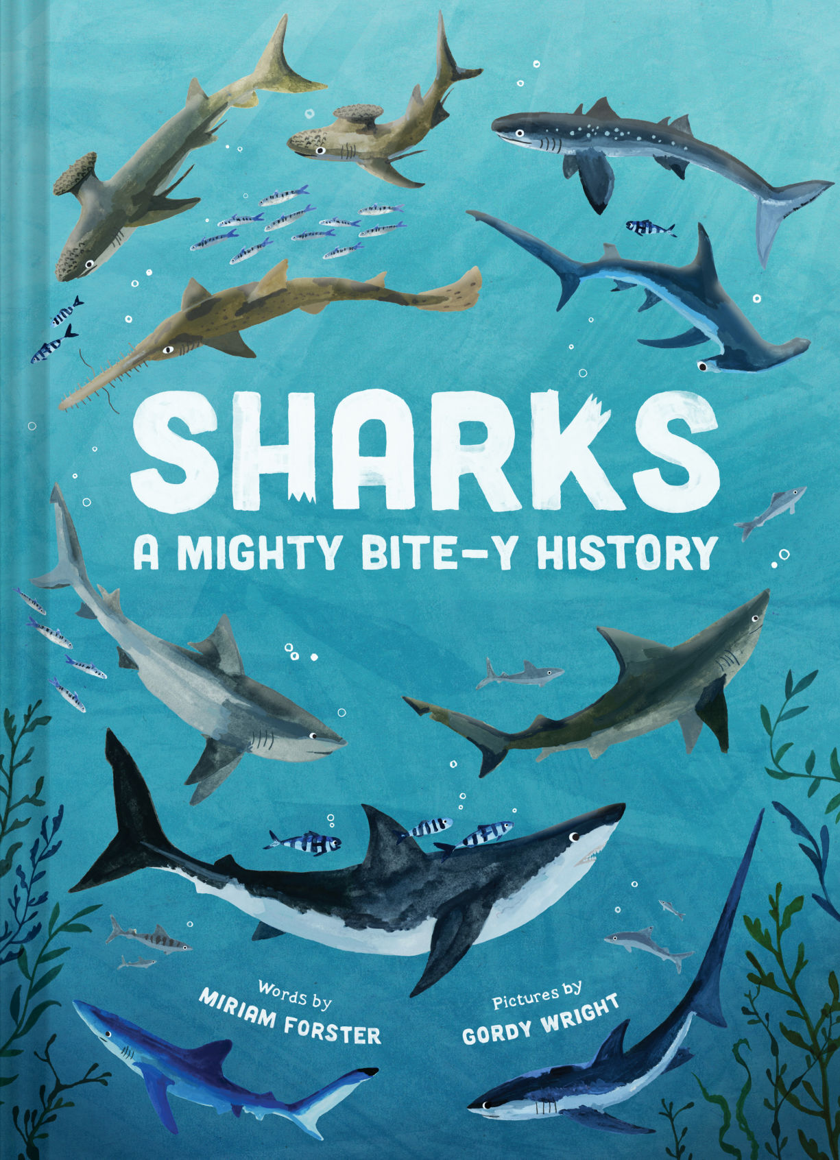 sharks